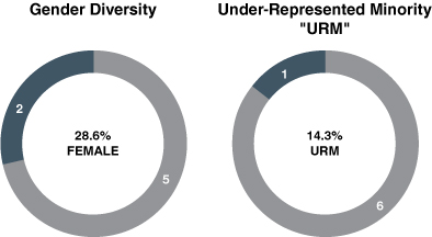 [MISSING IMAGE: tm2212190d1-pc_diversity4c.jpg]